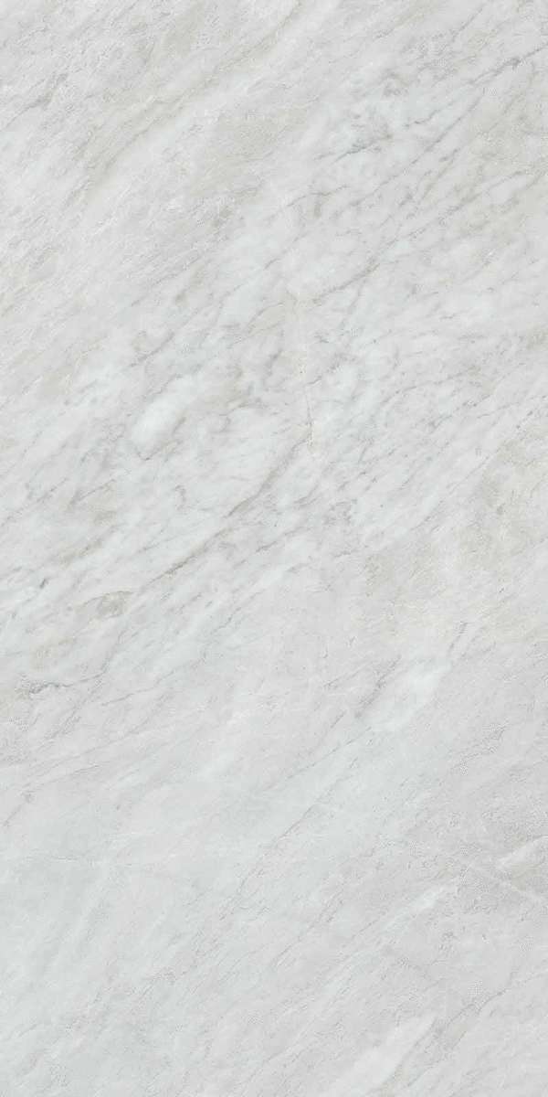 Bardiglio Silver Nat Spazzolato R10 RT 60x120 (600x1200)