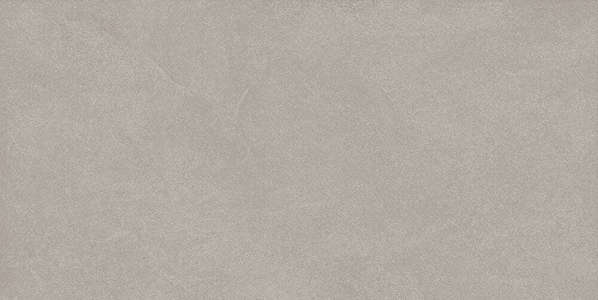 Серая Светлая Матовая Обрезная (600x300)