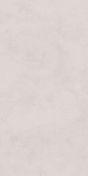 Серый Светлый Матовый Обрезной 30x60 (300x600)
