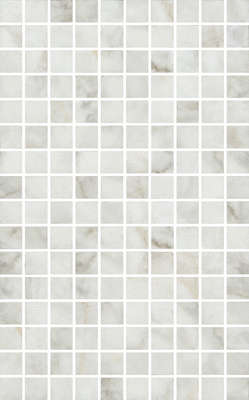 Мозаичный Белый Глянцевый 25x40 (250x400)