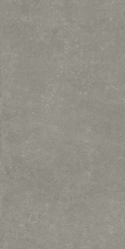 RP Серый Матовый Обрезной 60x119.5x0.9 (600x1195)