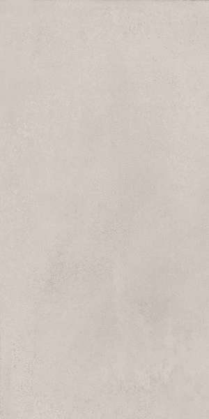 Серый Светлый Матовый Обрезной 30х60 (300x600)