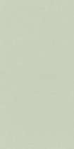 11086T Kerama Marazzi Норфолк зеленый 30*60 (300x600)