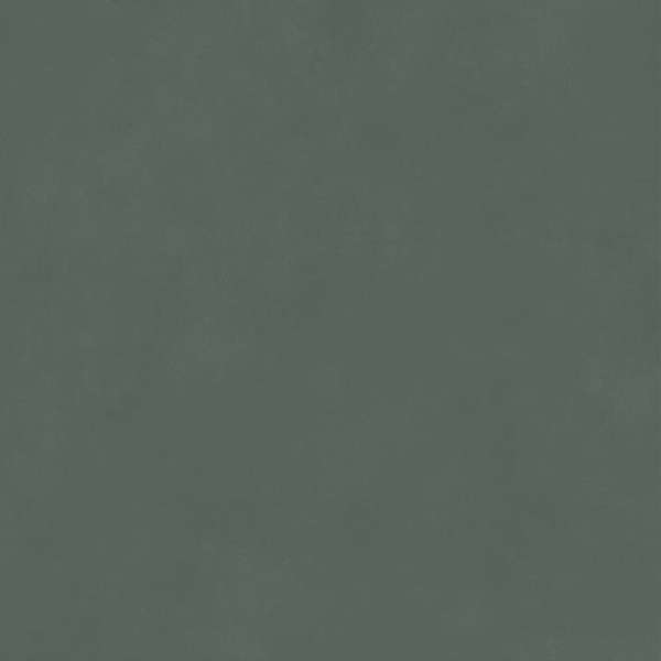Зеленый Матовый Обрезной 60x60 (600x600)