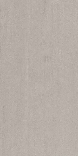Серый Светлый Матовый Обрезной 30х60 (300x600)