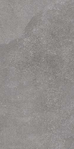 Серый Тёмный Обрезной 60x119.5 9мм (600x1195)