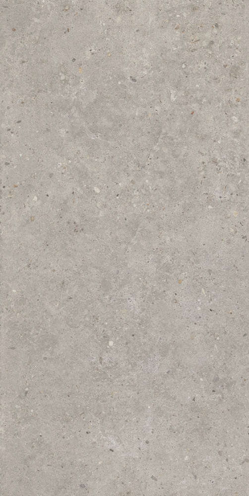 Серый Светлый Матовый Обрезной 60х119.5 (600x1195)