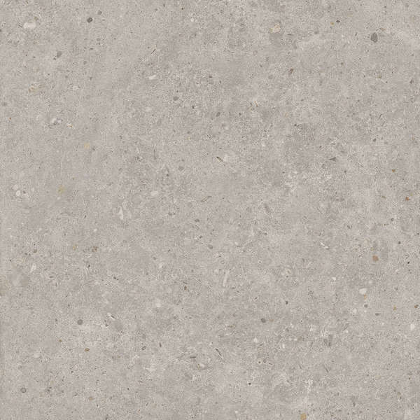 Серый Светлый Матовый Обрезной 60x60 (600x600)