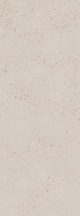 Kerama Marazzi     119.5x320x0.6