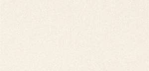 Керамогранит Kerlite Black-White Snow 50x100 (1000x500)