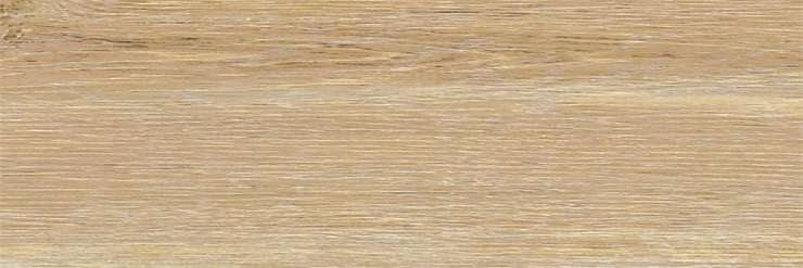 Kerlite Forest Rovere Natural 300x100