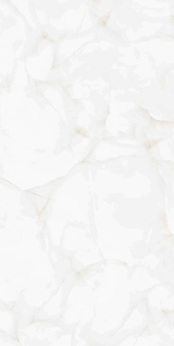 Керамогранит LV Granito Brais White Carving 600x1200 (600x1200)