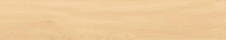 ЛВ Гранито Cedralis Arena matt punch 20х120