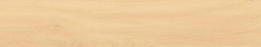 Arena matt punch 20х120 (1200x200)