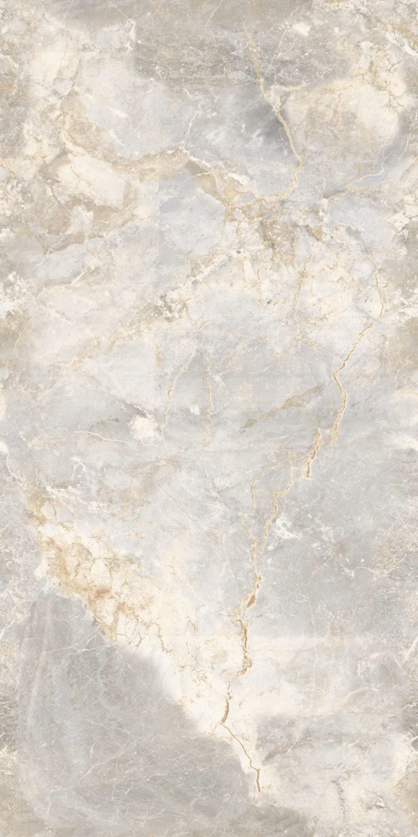 LV Granito Copa D Grey Vitro 60х120 фото-5