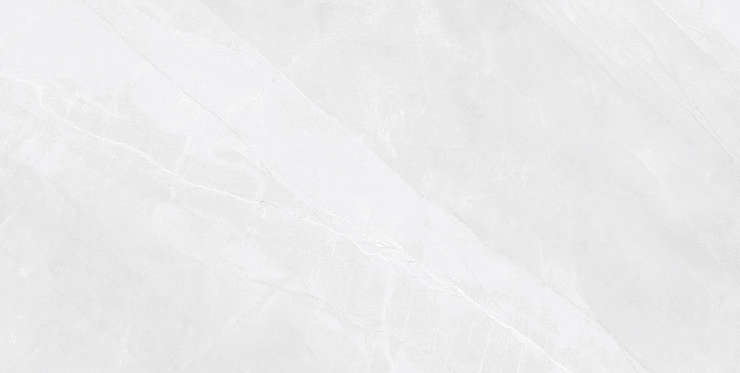 LV Granito Glossy Scambio White 60x120