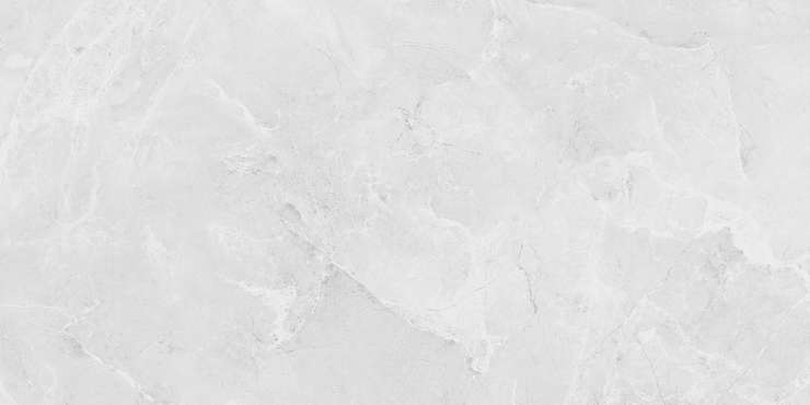 Лапарет Berna Светло-Серый 59.5х119.1 Матовый