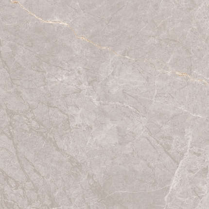 Лапарет Geo Grey Серый 80х80 матовый карвинг