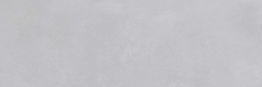 Grigio 30x89.5   (895x300)