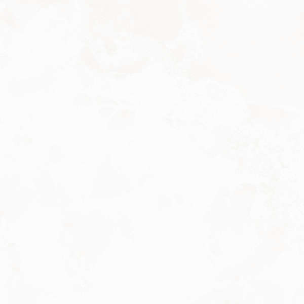 Белый 60х60 лаппатированный (600x600)