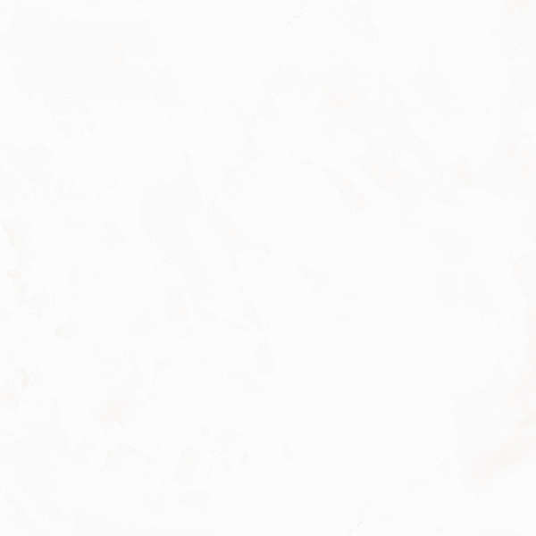 Белый 60х60 лаппатированный (600x600)