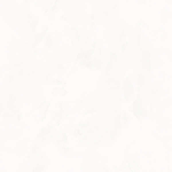 Белый 60х60 лаппатированный (600x600)