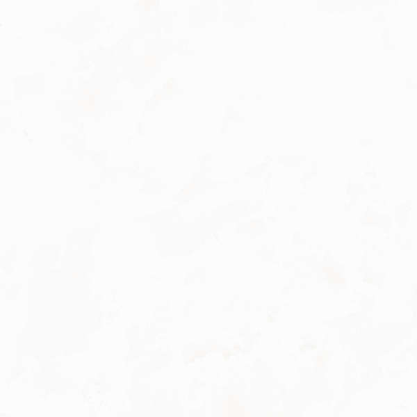 Белый 60х60 лаппатированный (600x600)