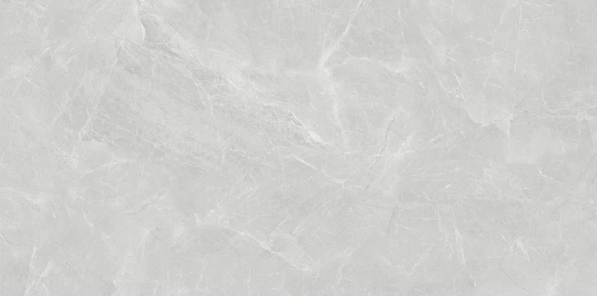 Светло-Серый 60x120 (1200x600)