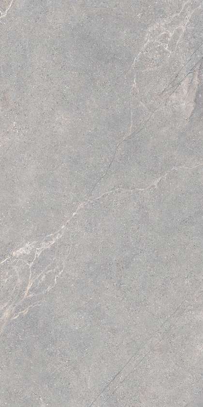 Lea Ceramiche Anthology 04 Gray Natural RT 9.5mm 60x120 -2