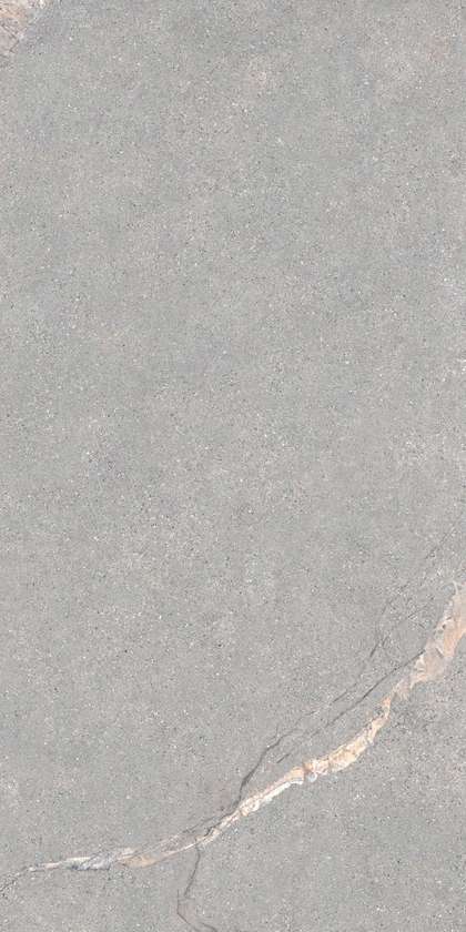 Lea Ceramiche Anthology 04 Gray Natural RT 9.5mm 60x120 -4