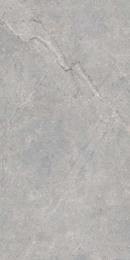 Lea Ceramiche Anthology 04 Gray Natural RT 9.5mm 60x120 -9