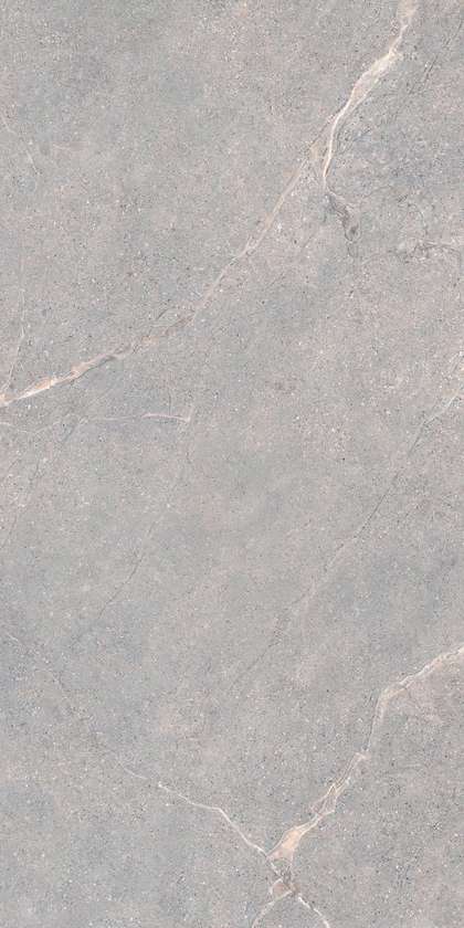 Lea Ceramiche Anthology 04 Gray Natural RT 9.5mm 60x120 -11