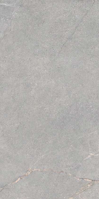 Lea Ceramiche Anthology 04 Gray Natural RT 9.5mm 60x120 -12