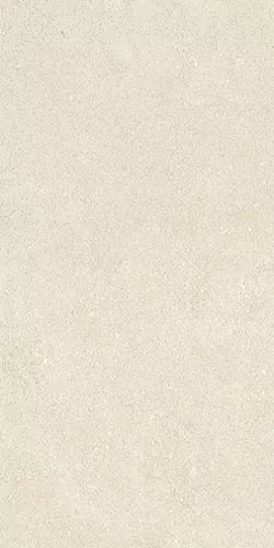 LGXIN00 Clair Nat RT 9mm 60x120 (600x1200)