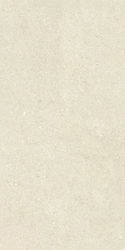 LGXIN0L Clair Lapp RT 9mm 60x120 (600x1200)