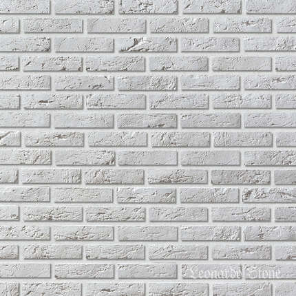 Леонардо Стоун Париж-2 100