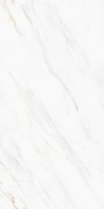 Леопард 60x120 2601 Venato Soft Polished 60x120