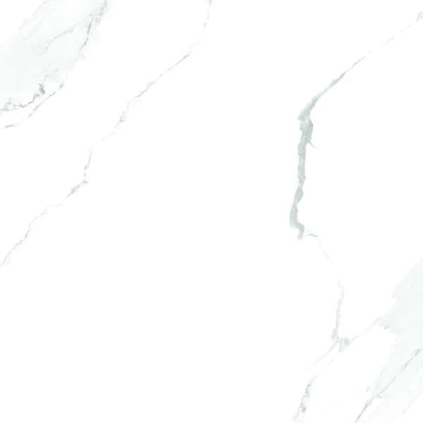 Carrara White Glossy (600x600)