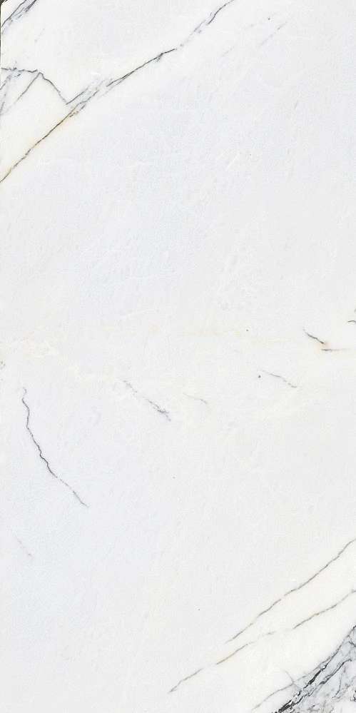 Spider White glossy (600x1200)