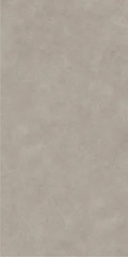 Pigmento Polvere Matt 120х60 (600x1200)