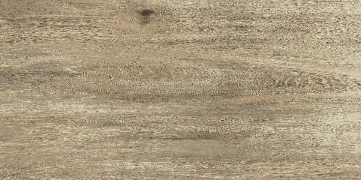Rover Wood Brown 60x120 (1200x600)