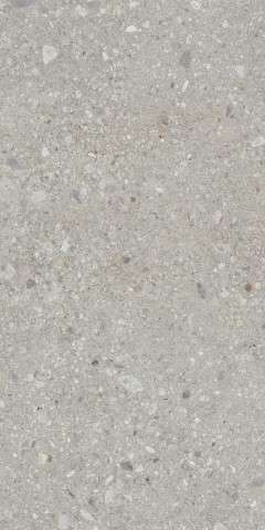 Ceppo di Gre Grey (1200x2400)