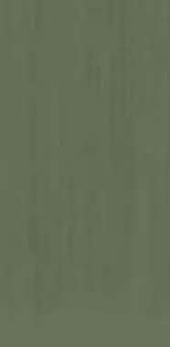 Mega Tile  Stone TC Light Green Mat 60x120