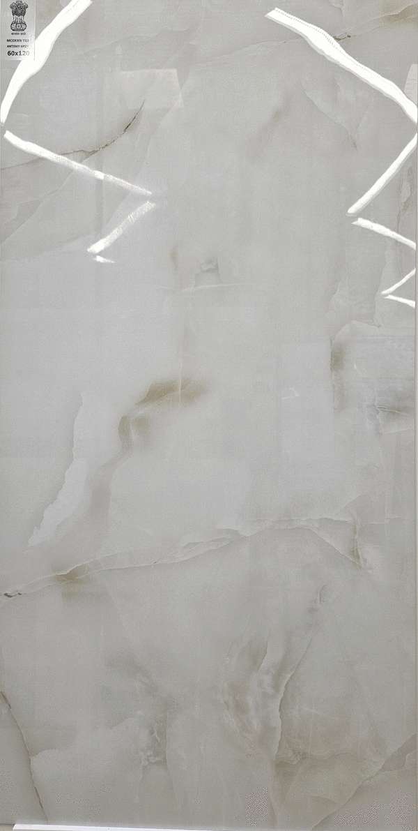 Grey 60x120 (600x1200)