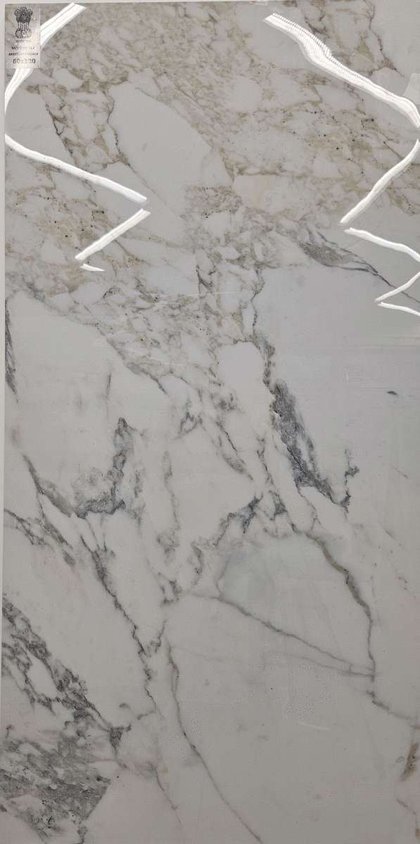 Silver 60x120 (600x1200)