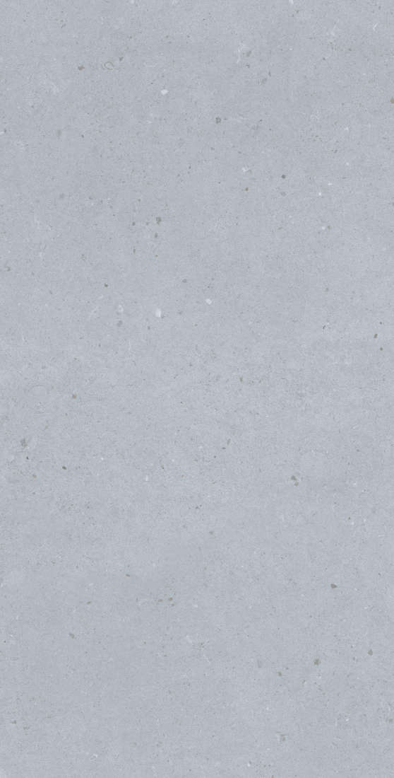 Artis Silver Carving 60x120 (600x1200)