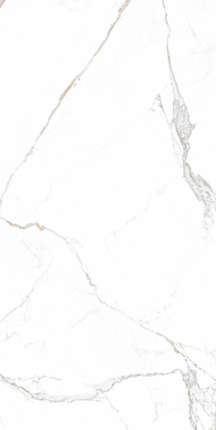 Модерн Тайл Statuario Brown 60x120