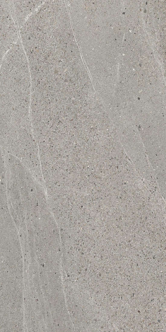 Grey Matt 60x120 (600x1200)