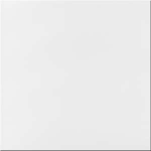 Pavimento Blanco (316x316)