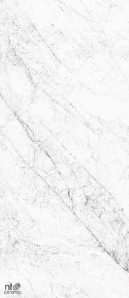 NT Ceramic Atlas Home () Carrara Elite   120x280